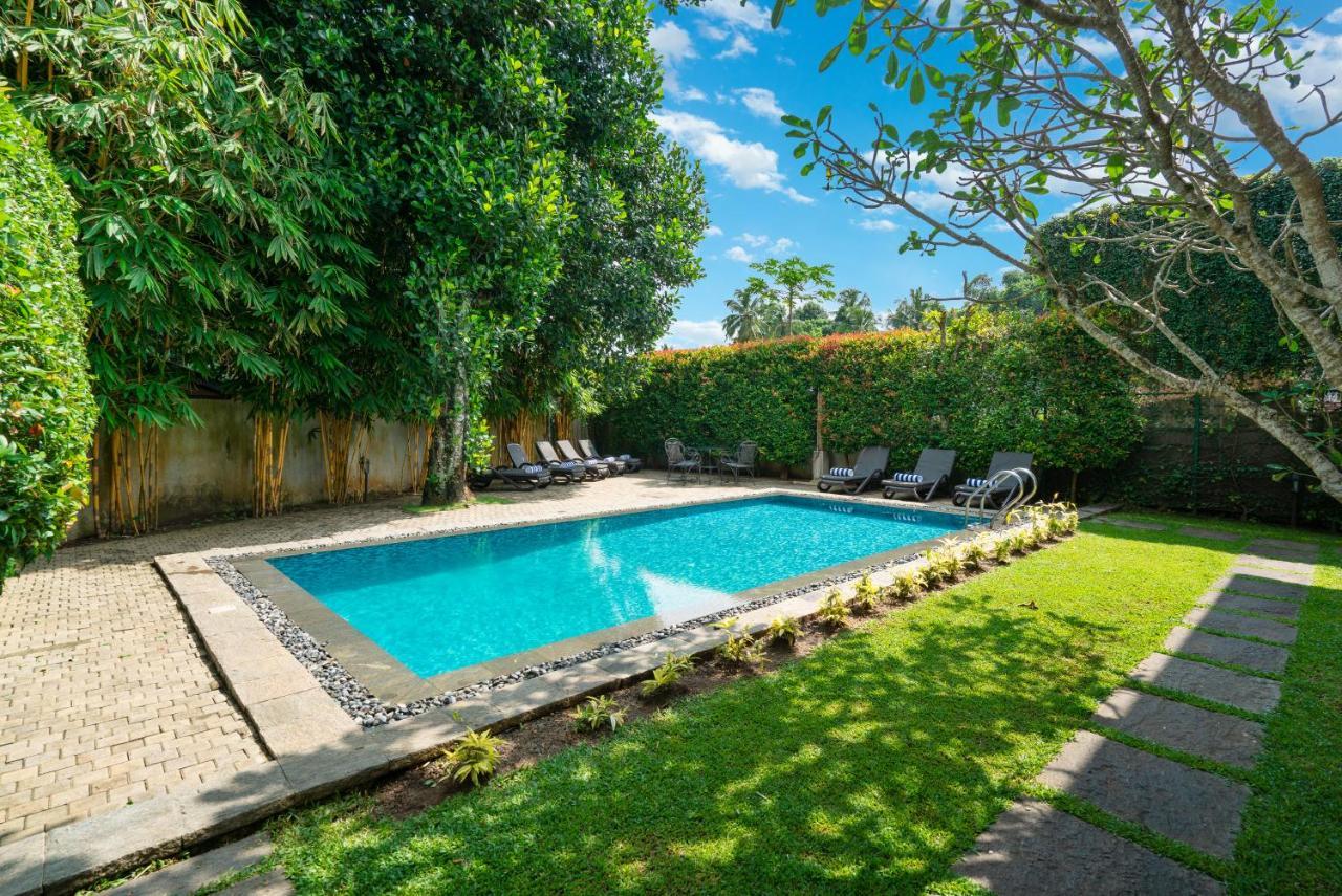 Clove Villa Kandy Ngoại thất bức ảnh
